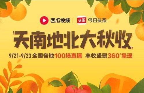 今日头条贝贝瓜,今日头条新晋网红，揭秘其爆红背后的故事