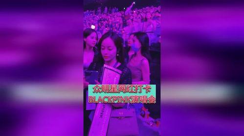 明星网红圆梦演唱会,网红明星圆梦演唱会盛大启幕