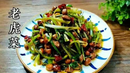 今日黑料吃瓜老虎菜视频,今日黑料视频背后的真相与争议