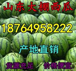 今日两湖瓜价,探寻夏日瓜果市场的风云变幻”