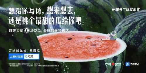 今日吃瓜文案怎么写,热点事件深度解析