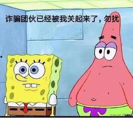 海绵宝宝明星网红叫什么,揭秘网络红人“海绵宝宝”的成名之路