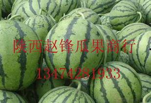 桃源今日哈密瓜价格行情,价格波动解析