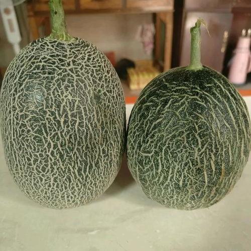 桃源今日哈密瓜价格行情,价格波动解析