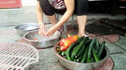 今日小瓜多少钱一斤,行情波动，一斤多少钱？