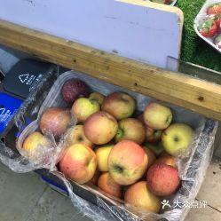 2024温州梨瓜今日价格行情,今日价格走势解析