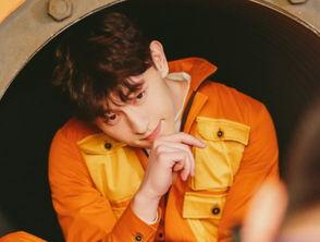 哪些见光不死的明星网红,揭秘那些见光不死的明星网红传奇