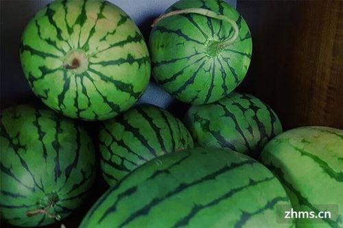 砀山麒麟瓜今日最新价格,价格行情一览”