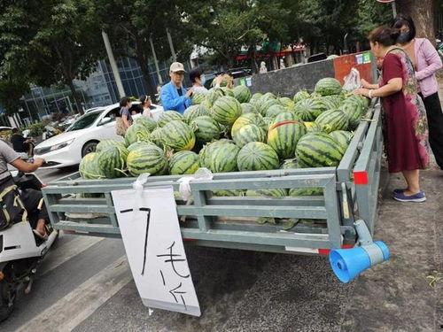 横店今日大瓜最新消息,今日大瓜揭秘幕后真相