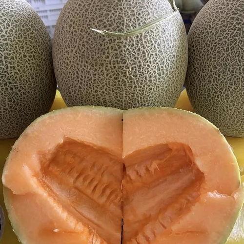 今日哈密瓜价格海南,市场行情一览