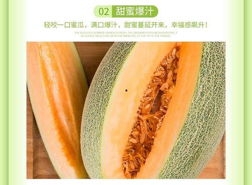 今日哈密瓜价格海南,市场行情一览