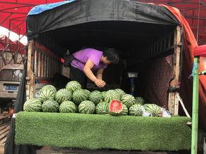 郑州今日吃瓜事件,一场网络热议背后的真相揭秘