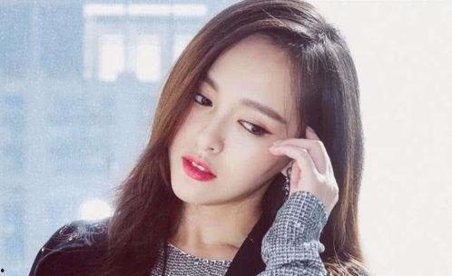 明星网红猫耳朵同款,带你领略萌宠魅力！