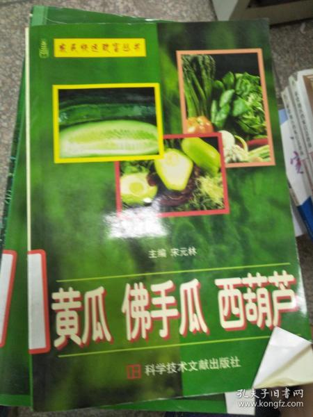 西胡芦瓜今日价格,今日西葫芦瓜价格波动解析