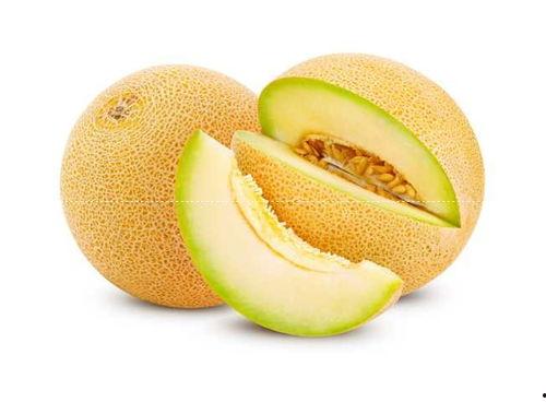 2022哈密瓜今日价格,今日价格一览