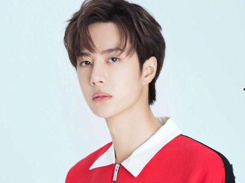 伊春的明星网红是谁,揭秘东北林都的璀璨新星