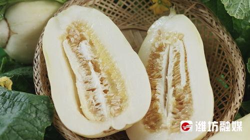 青州银瓜今日价格,价格行情一览”