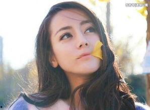 假装明星网红国外叫什么,揭秘“假装明星”的全球热潮